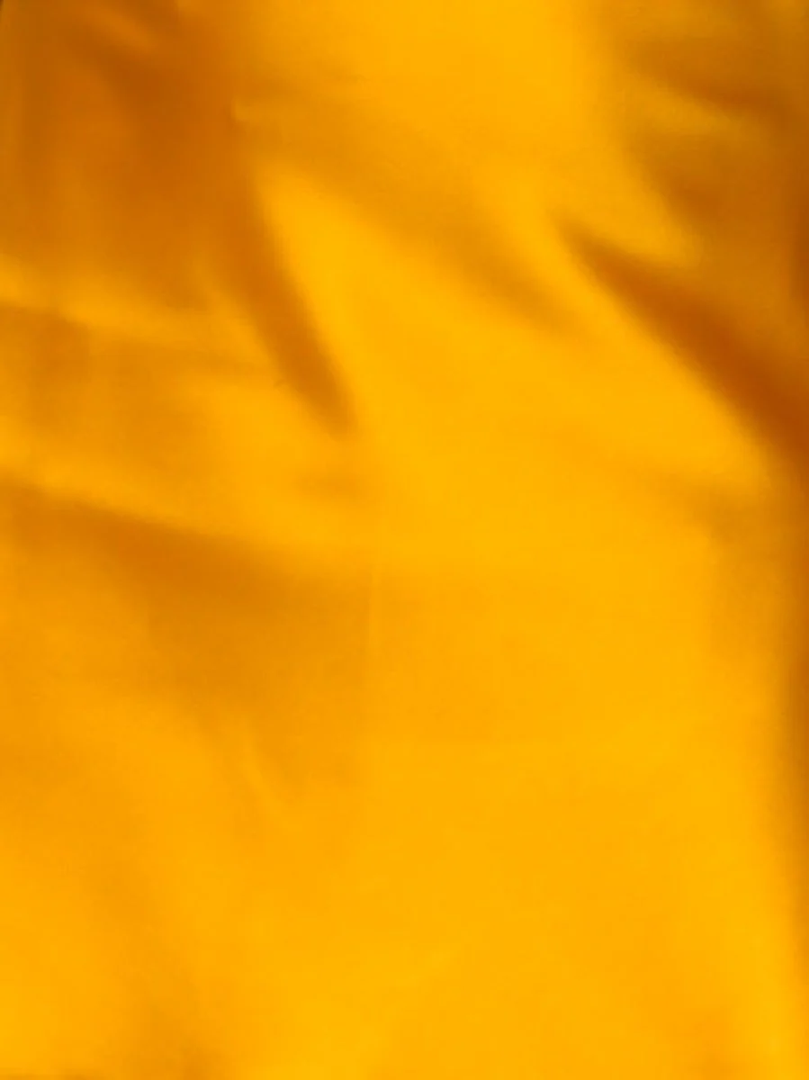 Amore Pants - Image 8