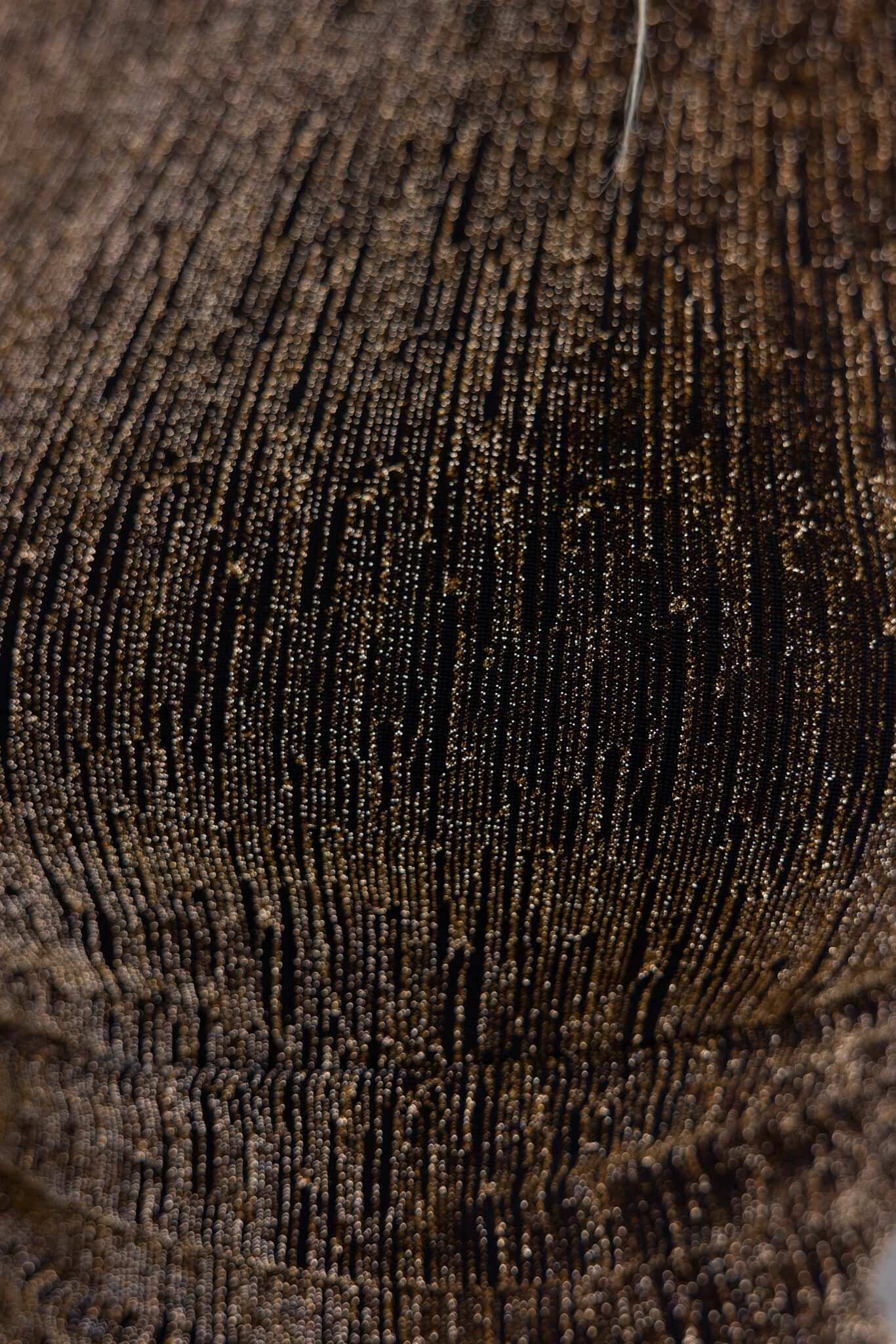 Avah Dress - Image 8