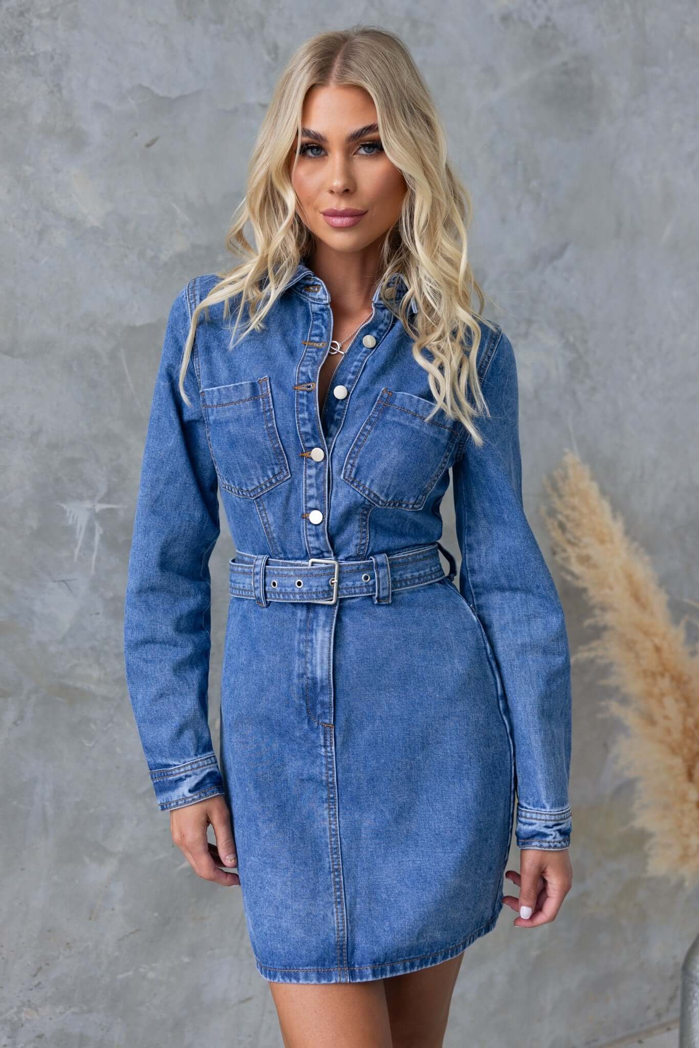 Barley Denim Dress - Image 3