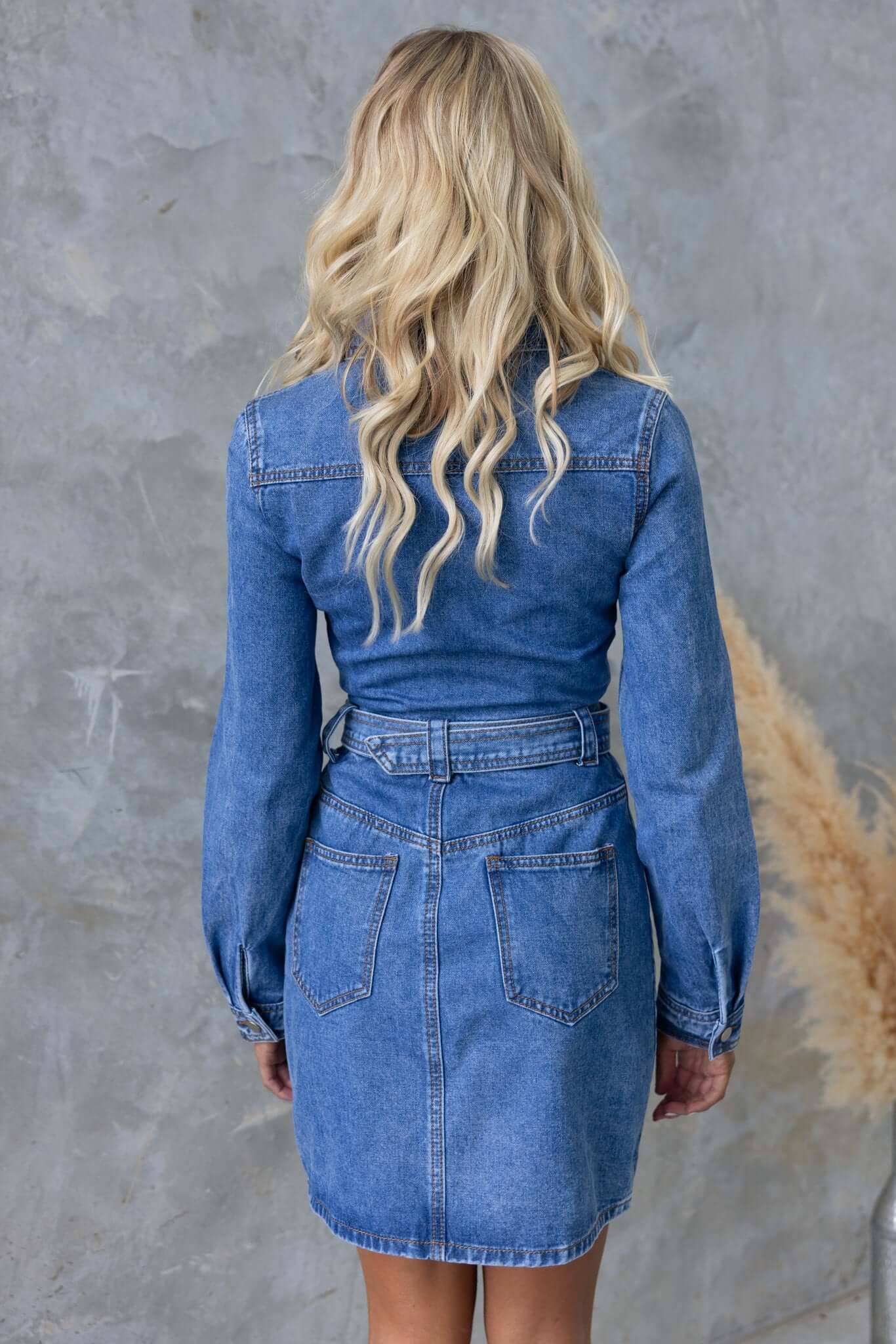 Barley Denim Dress - Image 5