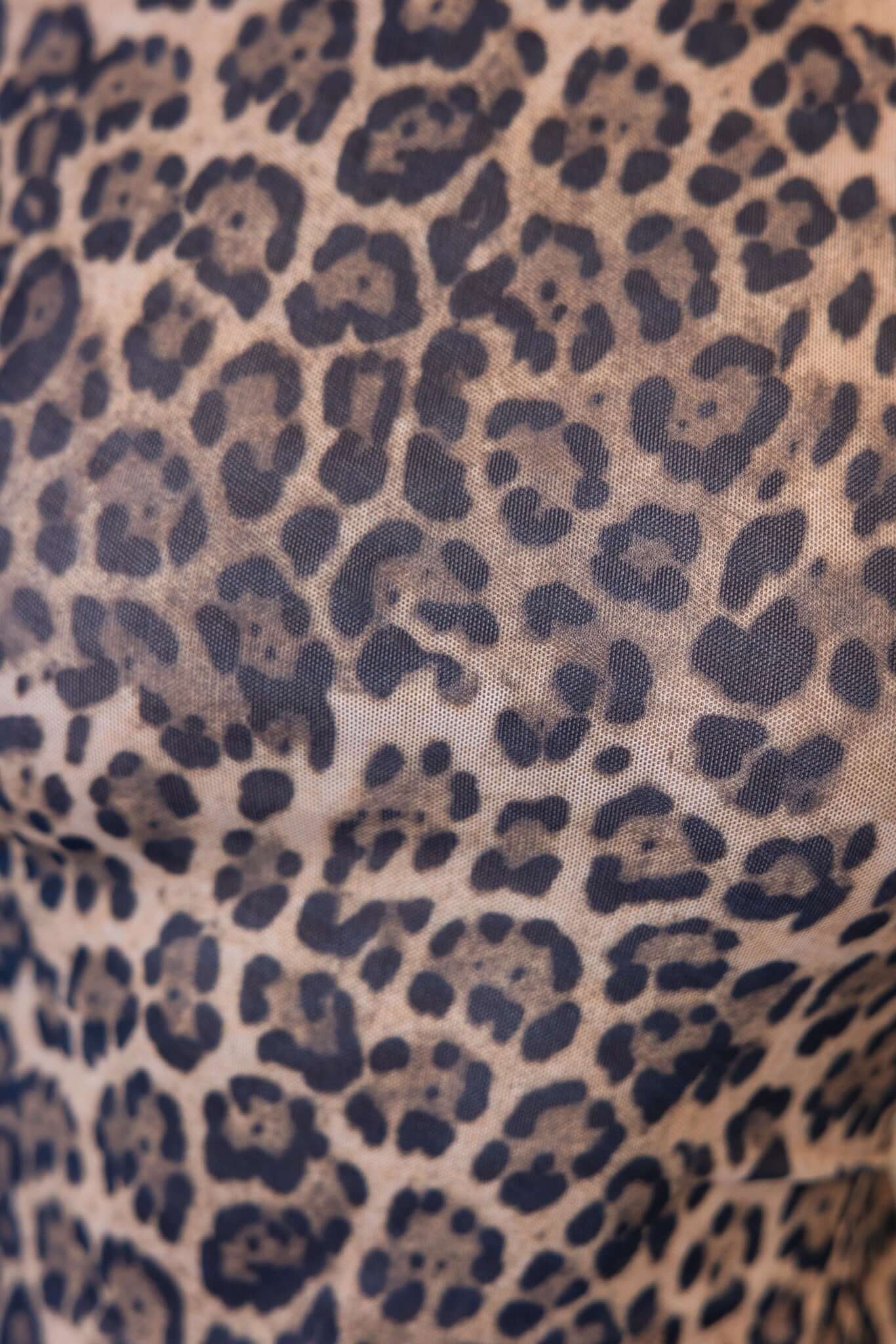 Catiana Dress - Image 8