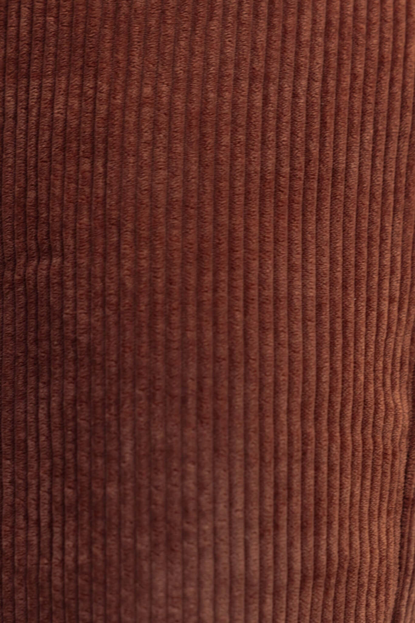 Donna Shacket - Image 6