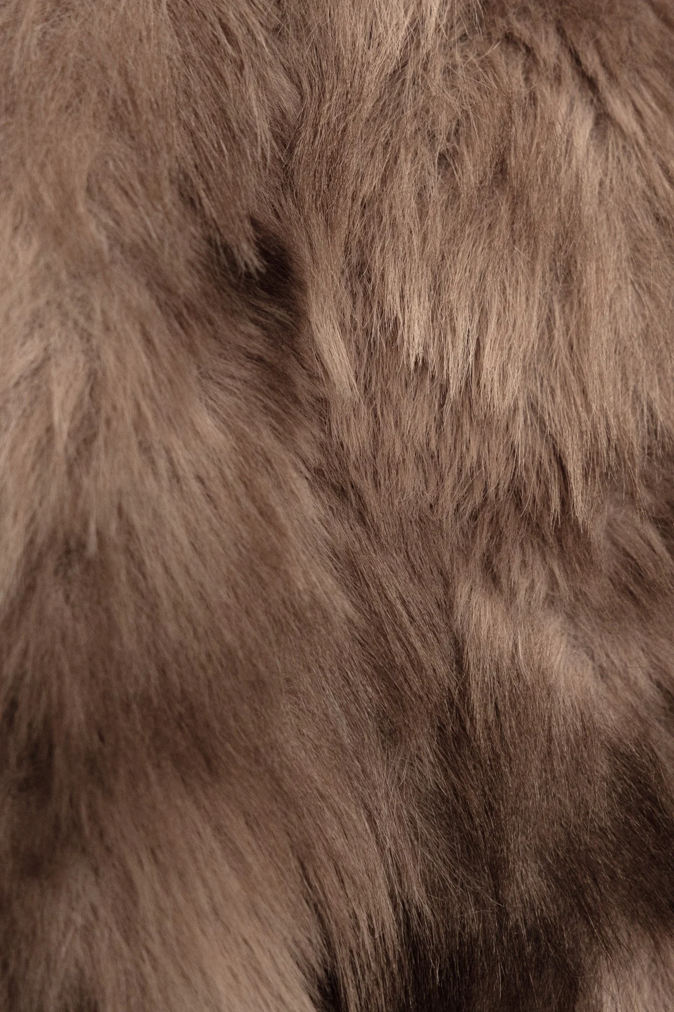 Evora Lane Coat - Image 7