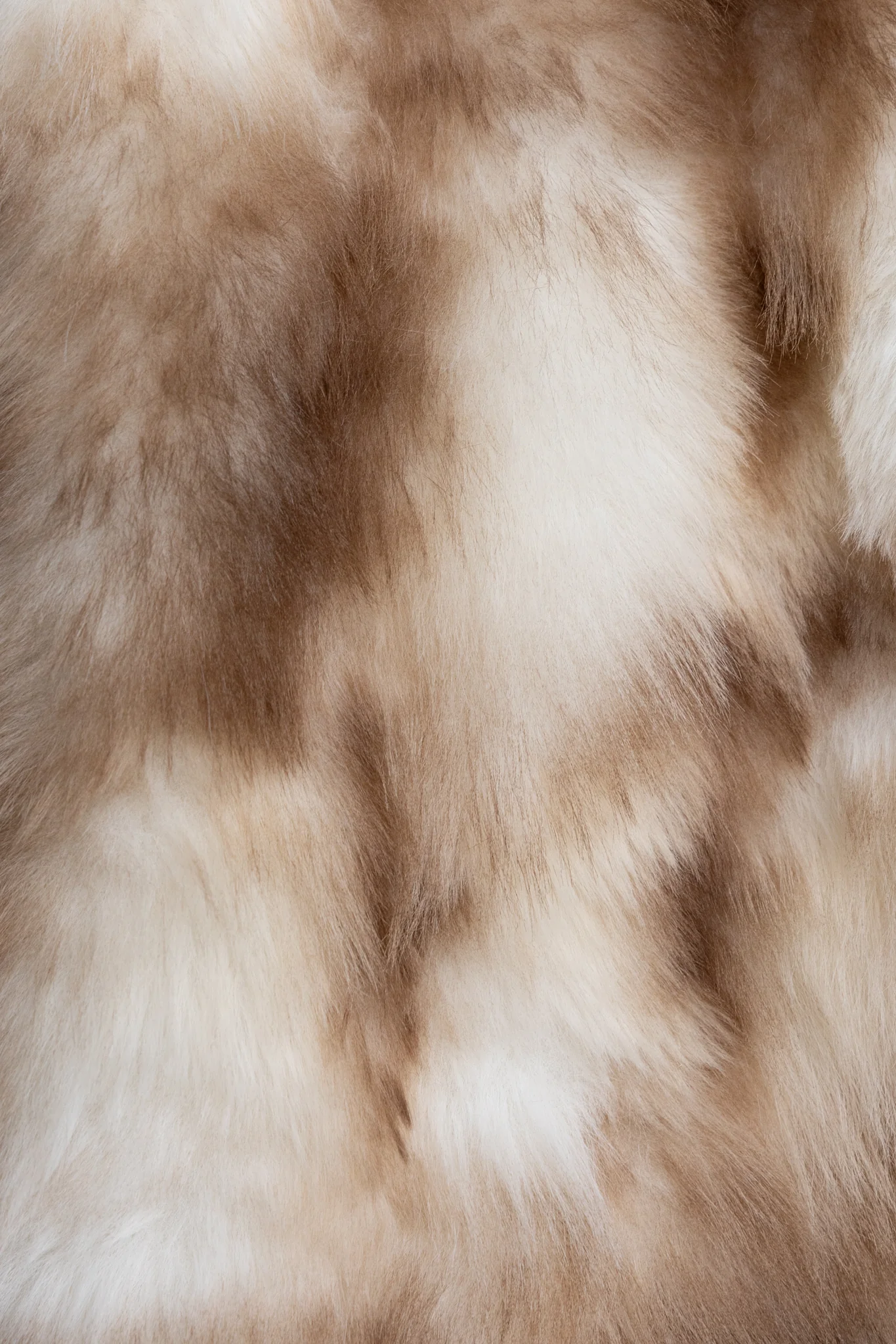 Evora Lane Coat - Image 7