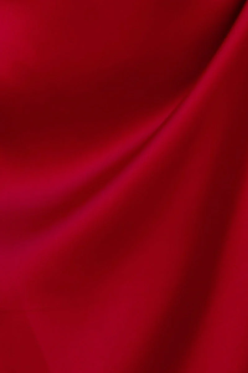 Fever Dream Dress - Image 6