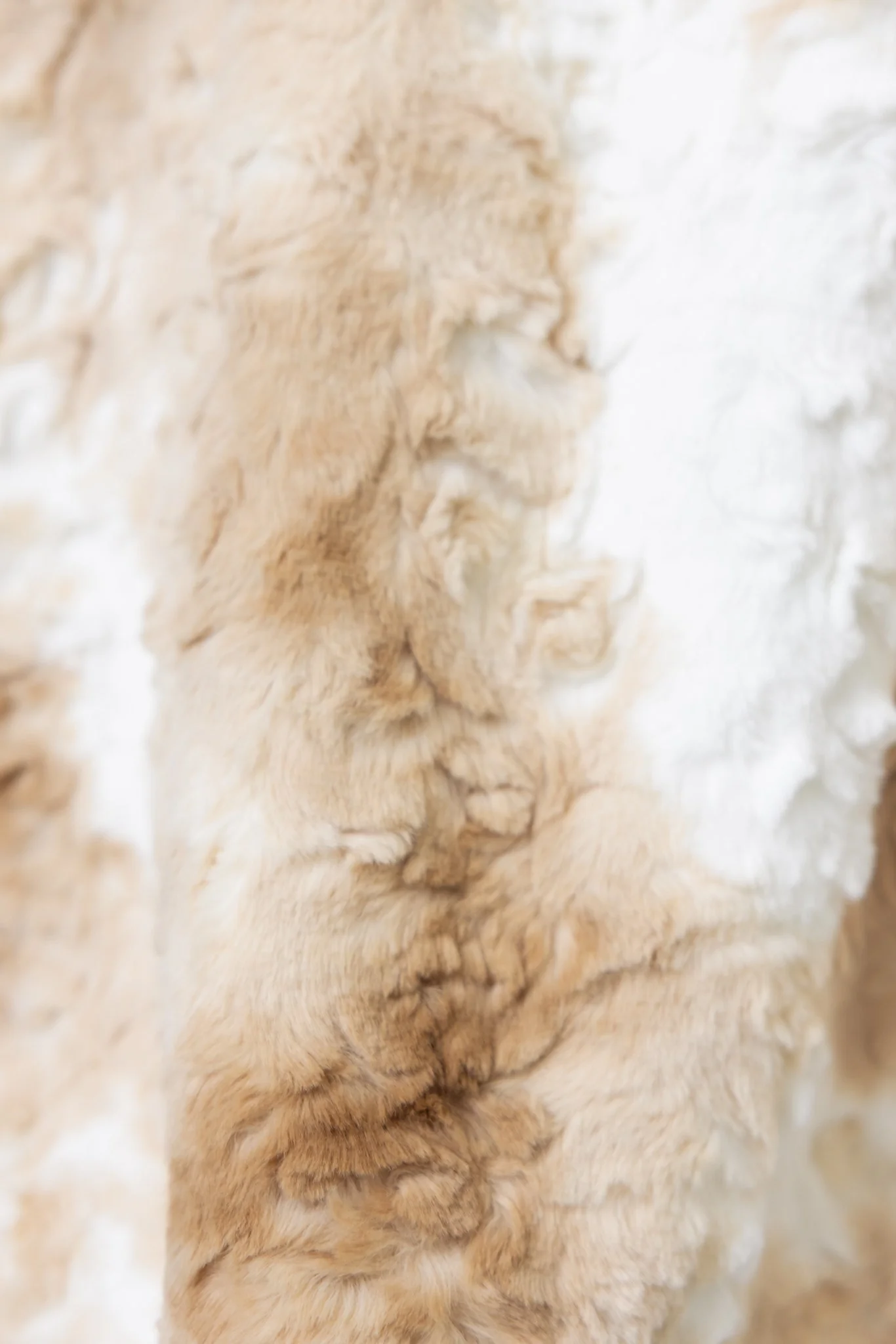 Florida Jacket - Image 6
