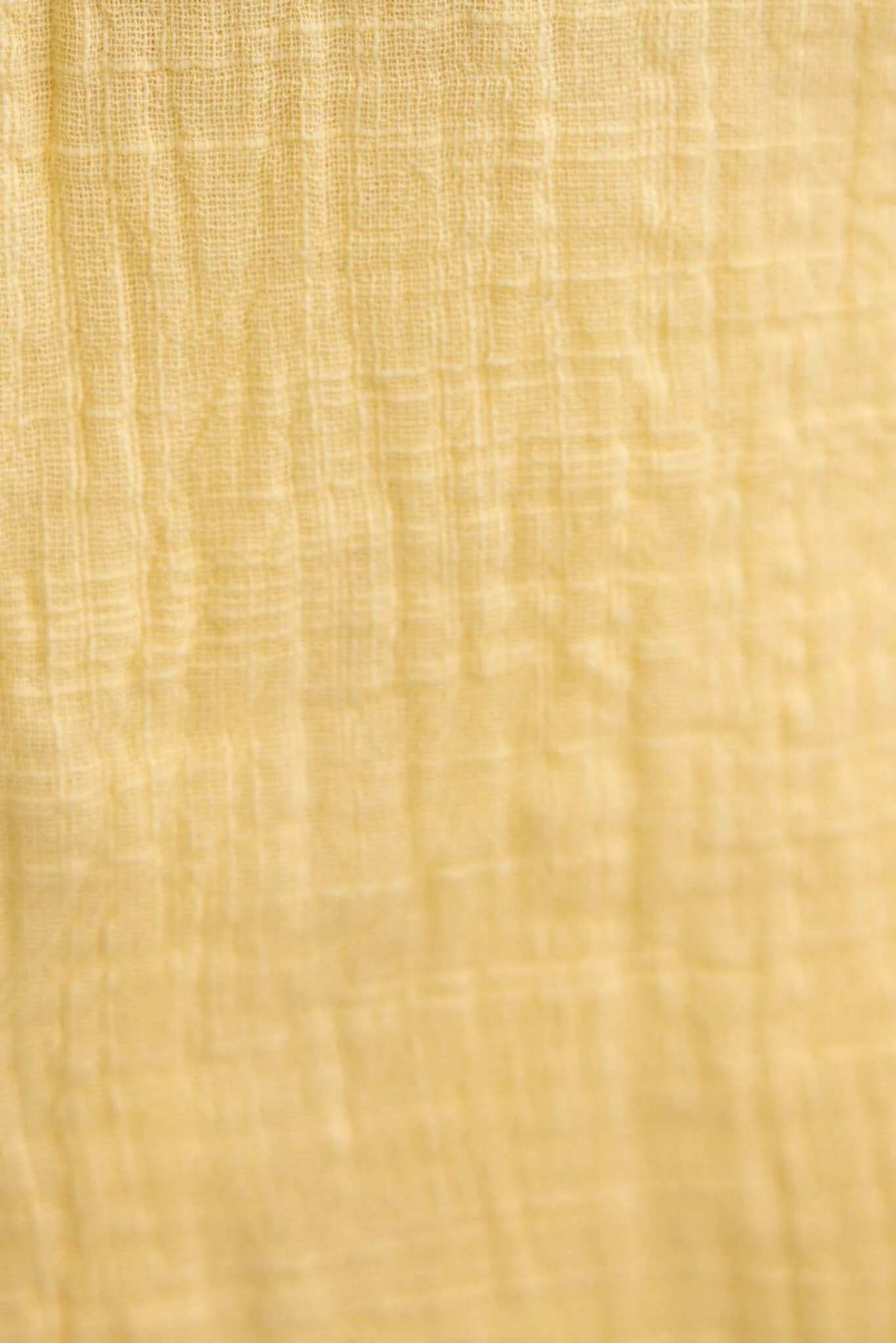 Golden Poise Shorts - Image 8
