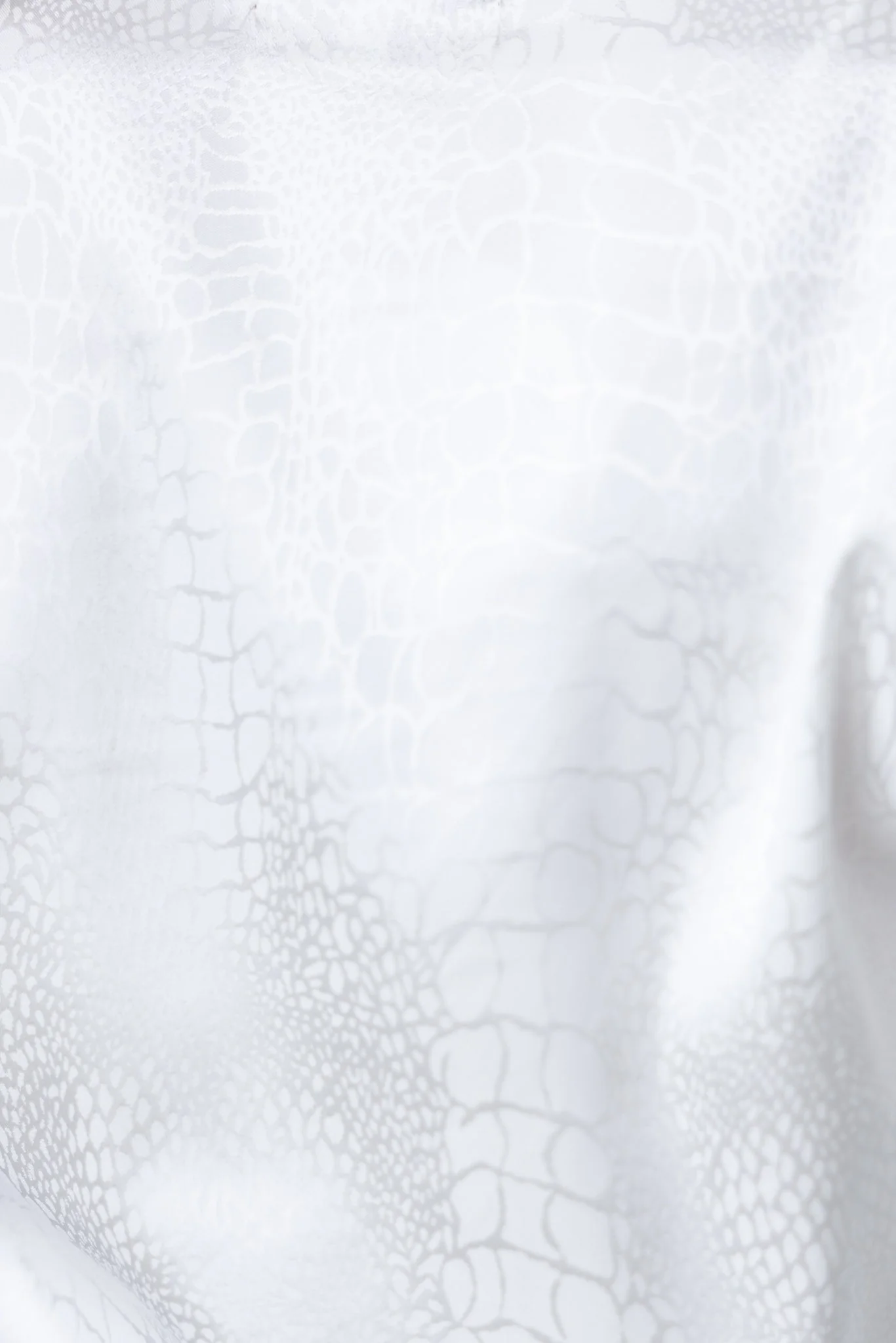 Loxana Dress - Image 6