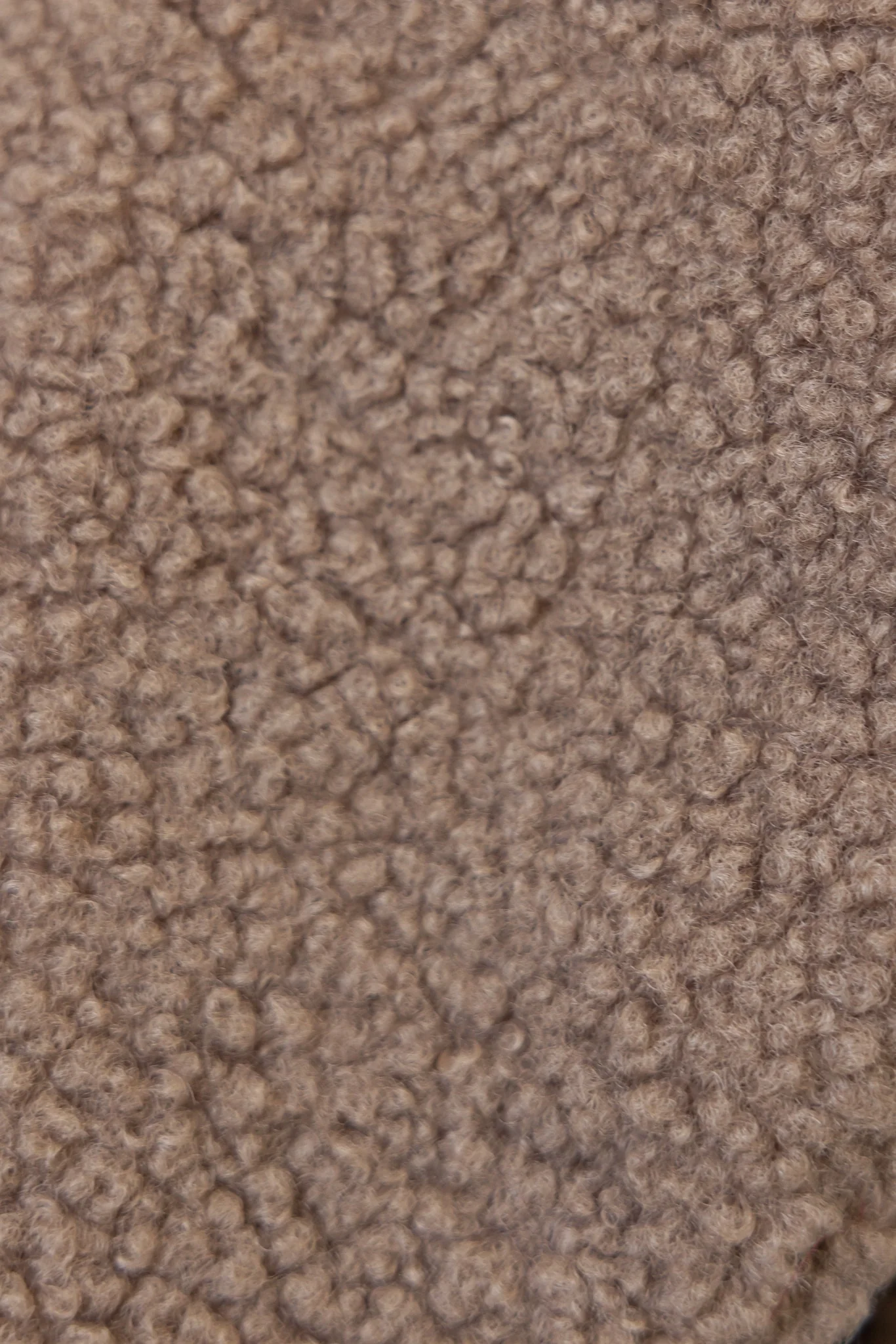 Tawny Coat - Image 5